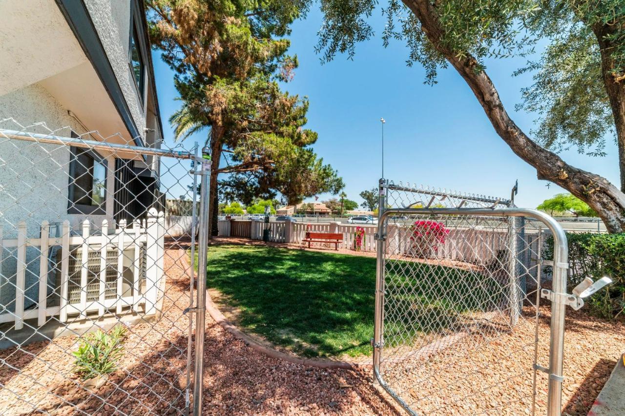 Metro Phx Downstairs Studio Sleeps 4 Ada Accessible 피닉스 외부 사진