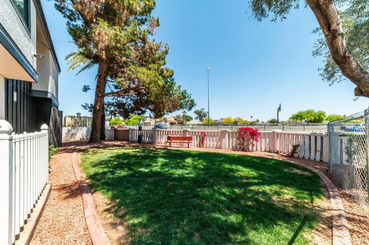 Metro Phx Downstairs Studio Sleeps 4 Ada Accessible 피닉스 외부 사진